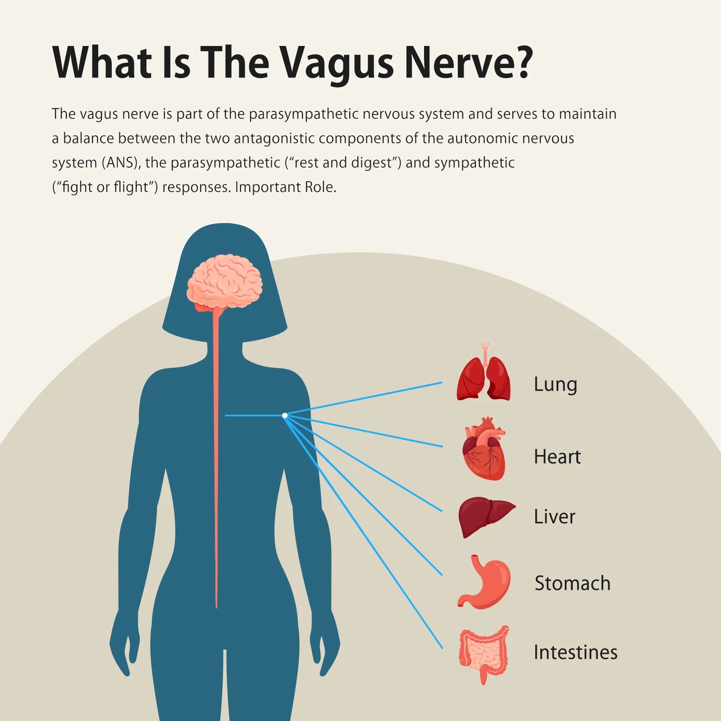 ZenoWell Vagus Nerve Stimulation Device,Restore Calm,Sleep Better,Stress Relief through Auricular Vagus Nerve Stimulator